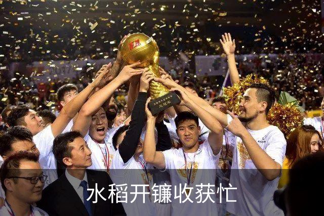 水稻开镰收获忙